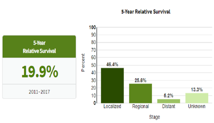 amjs澳金沙门(中国)有限公司
